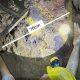 Zimbabwe Gold Exploration Heats Up with Pambili’s New Cross-Cut Initiative
