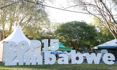 Global Wetland Restoration Takes Centre Stage as COP15 Commences in Vic Falls
