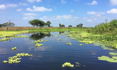 Hosting Ramsar COP15 is a landmark in wetland conservation leadership