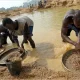 ZDAMWU Accuses Diamond Companies of Labour Abuses and Mismanagement