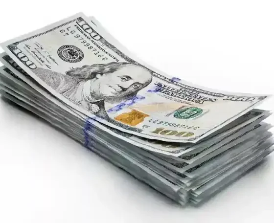 NPA Confirms Arrest Over Illicit US$7.6M Gas Import Payments