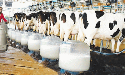 Livestock Sector Freed from Red Tape