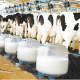 Livestock Sector Freed from Red Tape