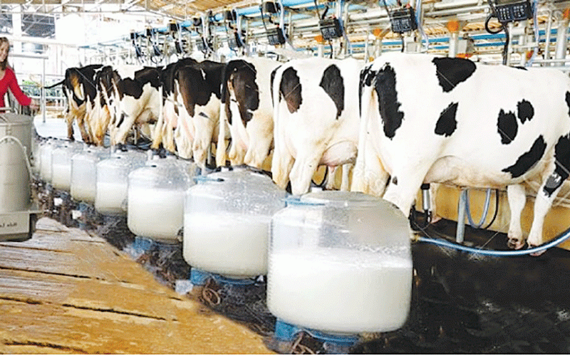Livestock Sector Freed from Red Tape