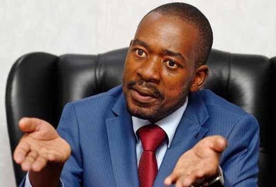 Chamisa Leaves Flock Behind