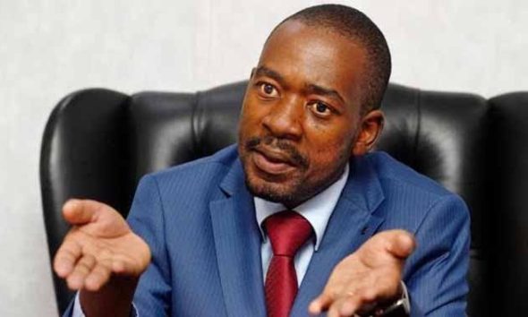 Chamisa Leaves Flock Behind