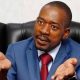 Chamisa Leaves Flock Behind