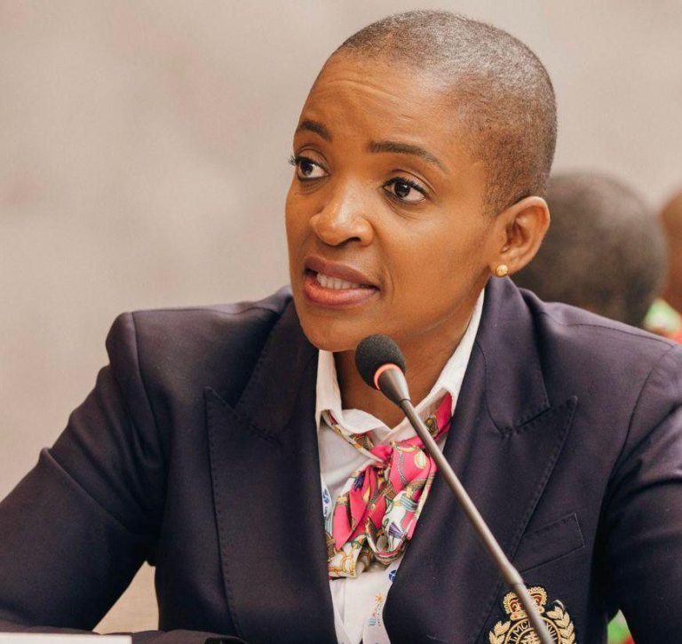 Tendai Rwodzi Meet the Minister Steering Zimbabwe’s Tourism to Global Heights - Hurumende
