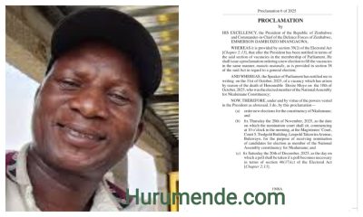 President Mnangagwa Orders By-Election for Nkulumane Seat