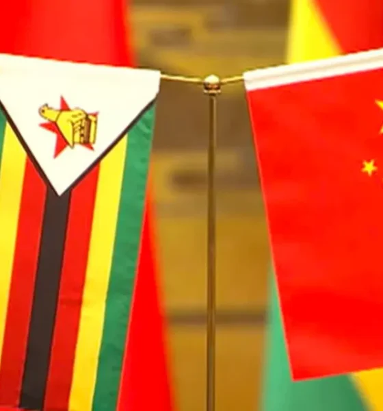 Zim Export Ban Prompts China Embassy Compliance Alert