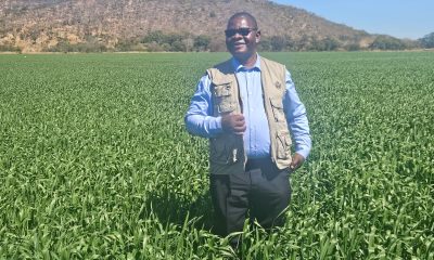 Kutsaga fueling food security and rural growth