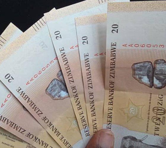 Big 5 ZiG Notes Hit Harare Streets Today!