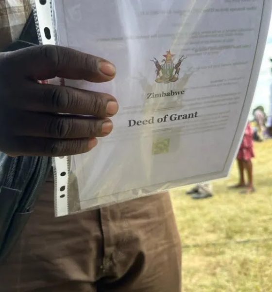 Govt Starts Two-Week Title Deeds Validation Pilot