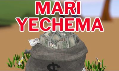 What is Mari Yechema in Shona Culture