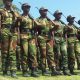 No Jobs at ZNA for Now, Recruitment to Be Announced Through Official Channels