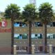 Struggling Telecel Seeks Investor to Avoid Collapse