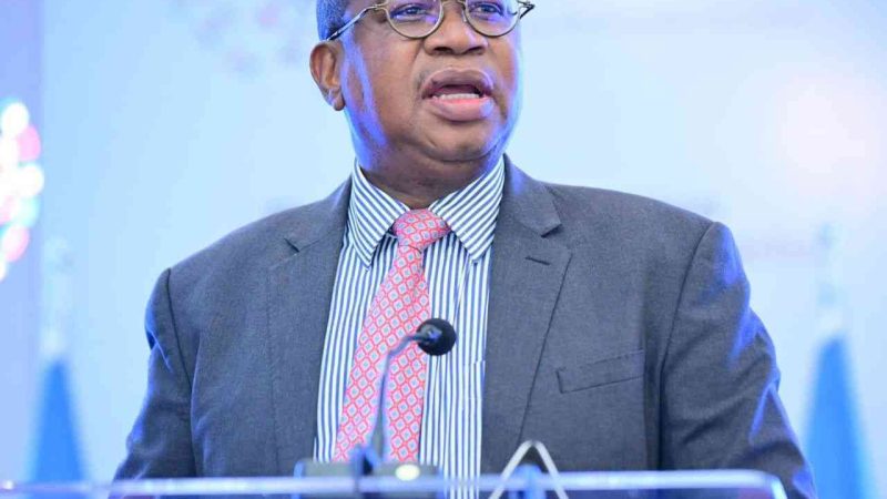 Minister Mthuli Ncube Unveils Provincial Industrialization Model for Zimbabwe