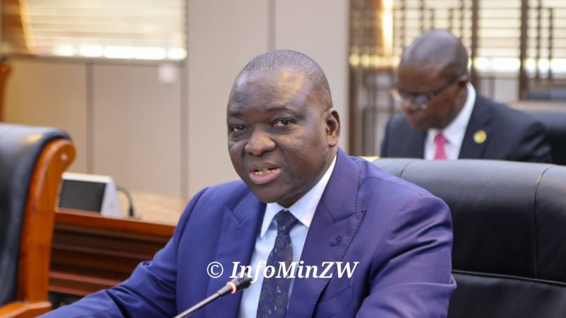 Zimbabwe Expects Grain Surplus as Winter Cropping Gains Momentum