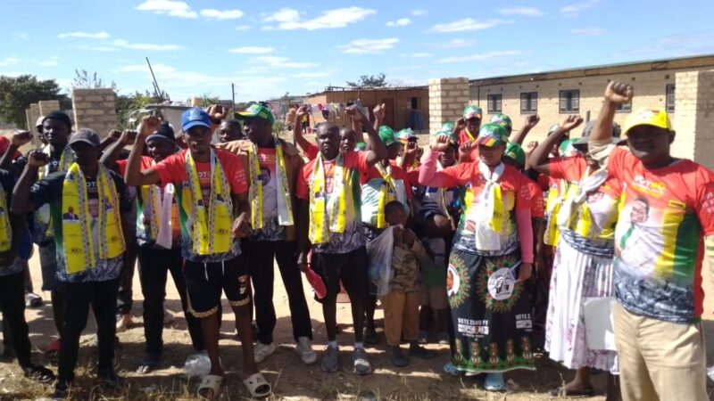 CELL BY CELL: HOW ZANU-PF IS REBUILDING ITS GRASSROOTS POWER