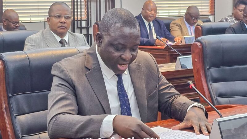 Over 60,000 Mining Titles to Benefit from New Cadastre System