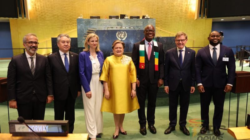 Zimbabwe Elected to United Nations Security Council