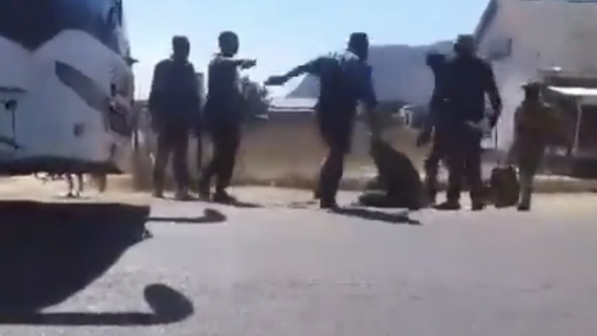 POLICE HUNT ROGUE BUS CREW MEMBERS OVER BRUTAL ASSAULT