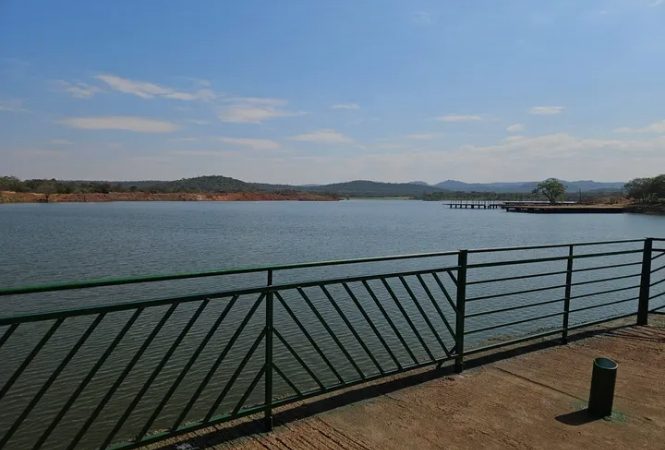 Mutendi Farm Targeted as Southern Fingerlings Hub