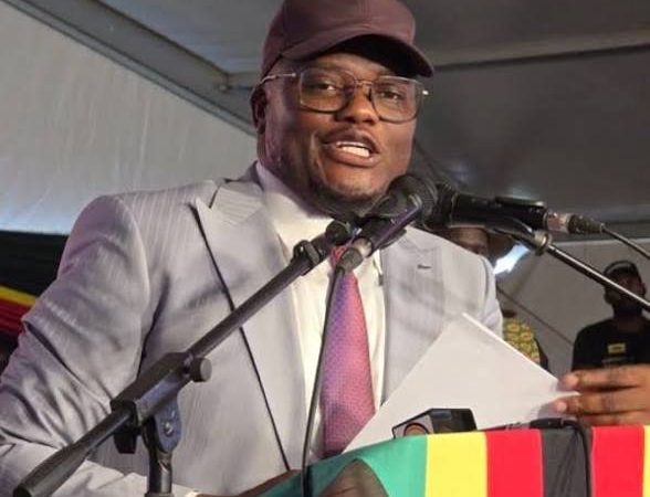 Presidential advisor Paul Tungwarara pledges US$200,000 to critic who apologised to Mnangagwa