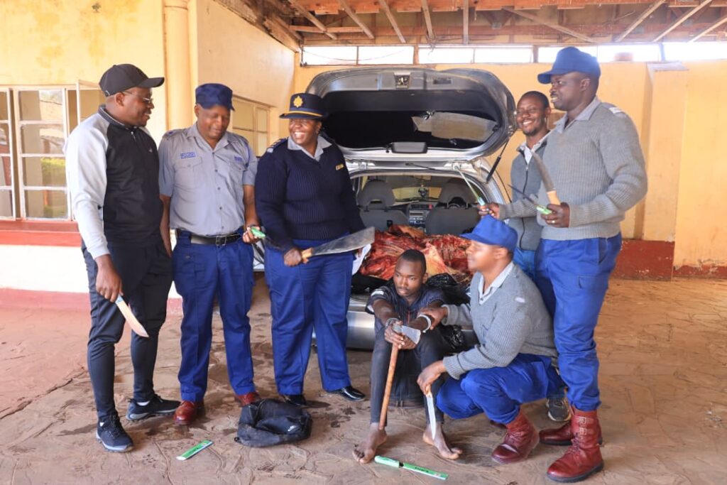Teen Arrested Over Alleged Stock Theft in Bulawayo