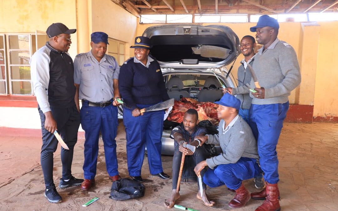 Teen Arrested Over Alleged Stock Theft in Bulawayo