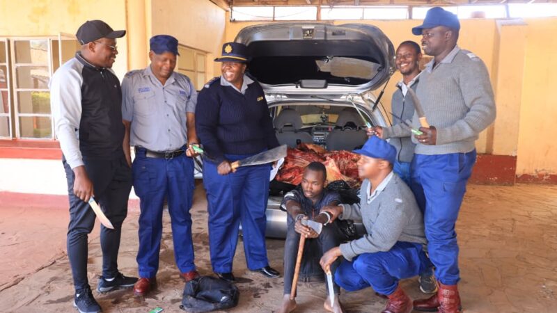 Teen Arrested Over Alleged Stock Theft in Bulawayo