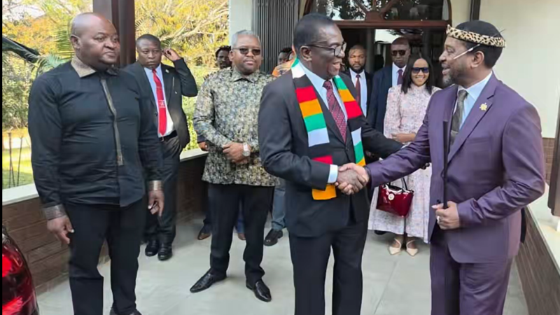 President Mnangagwa, South African Kings Unite Against Xenophobia, Promote Regional Unity