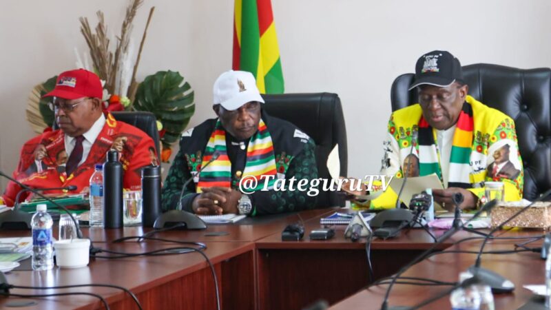 President Mnangagwa Champions Citizen-Led Economic Growth
