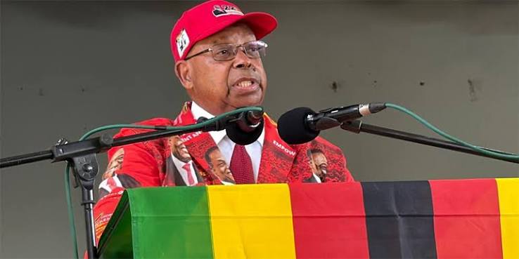 ZANU PF Mobilises to Receive Zimbabweans Returning from South Africa