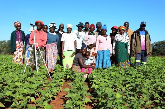 Water Brings Farai Irrigation Scheme Back to Life