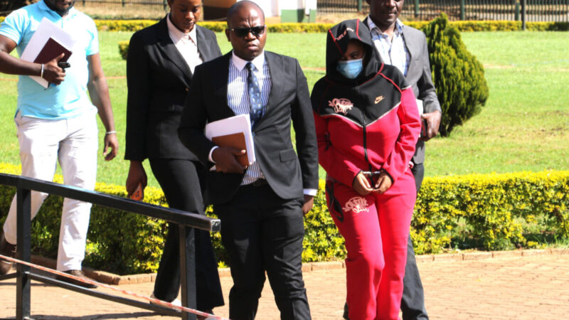 Court puts US$9.3m Kelsea Tafirenyika ‘gifts’ defence under scrutiny
