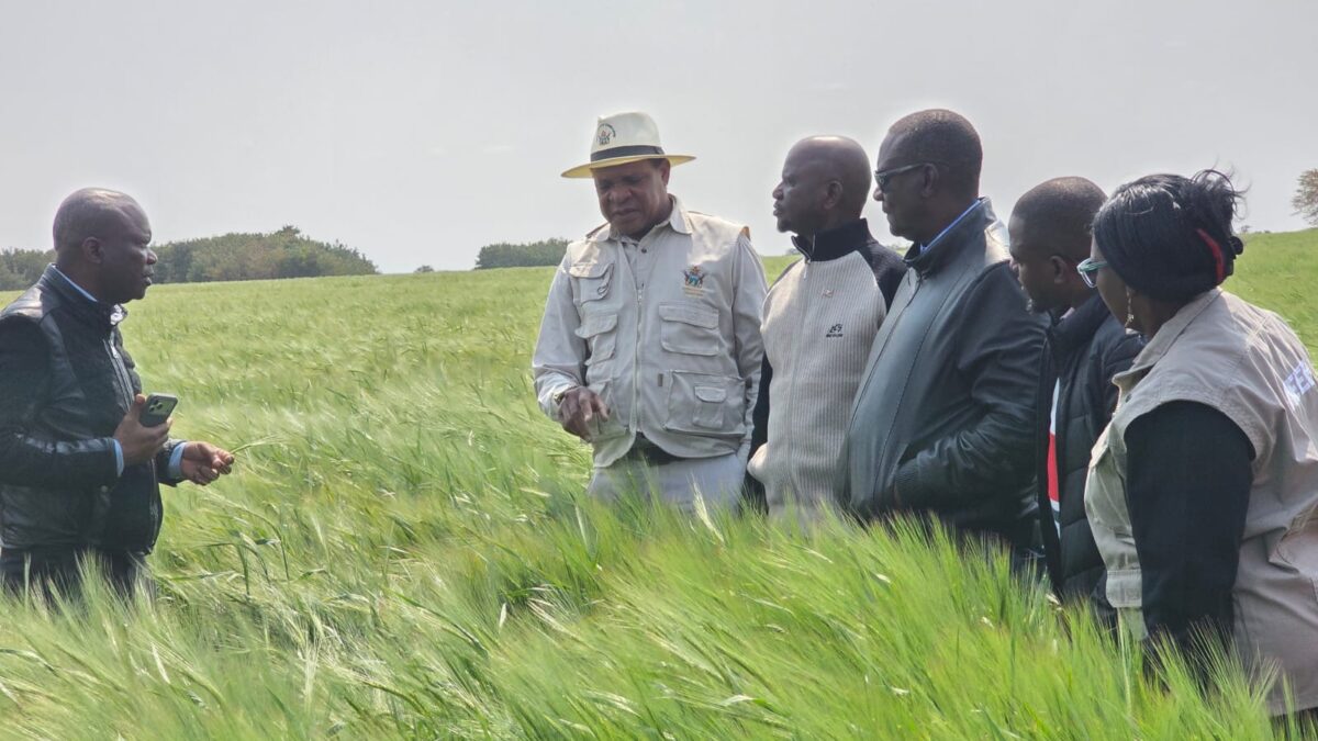 Eswatini Agriculture Delegation Visits Zimbabwe to Study Farming Innovations