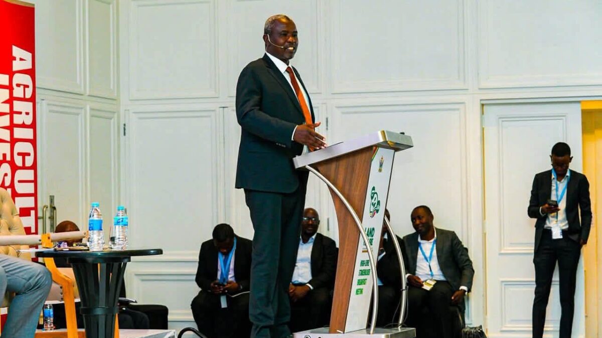 Land Reform Can Unlock Zimbabwe’s Agricultural Economy – Tagwirei