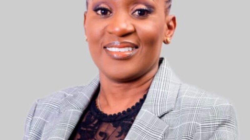 ZLHR Calls For Specialised Courts to Tackle Wetland Destruction