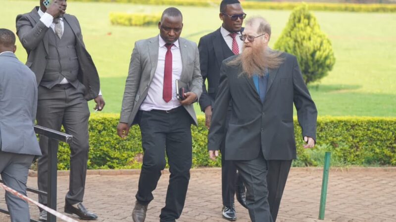 Harare Firm Unicorn Trading Private Limited Pleads Guilty To R1.6m Hawala Payment Scandal