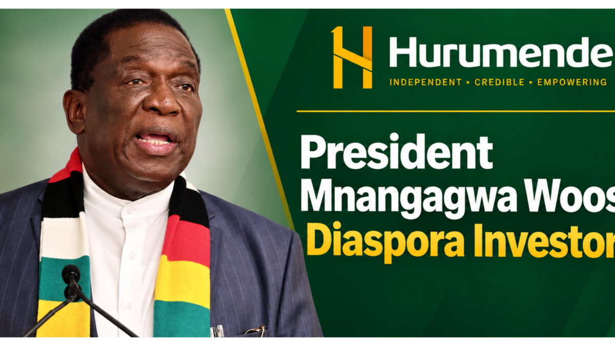 President Mnangagwa Woos Diaspora Investors