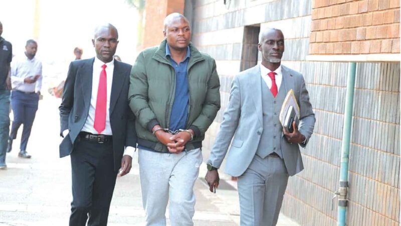 Bulawayo Businessman Charged Over US$125 000 Varichem Fraud