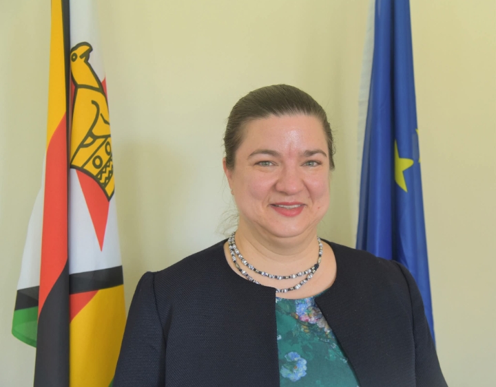 EU Ambassador Katrin Hagemann Dies After Short Tenure