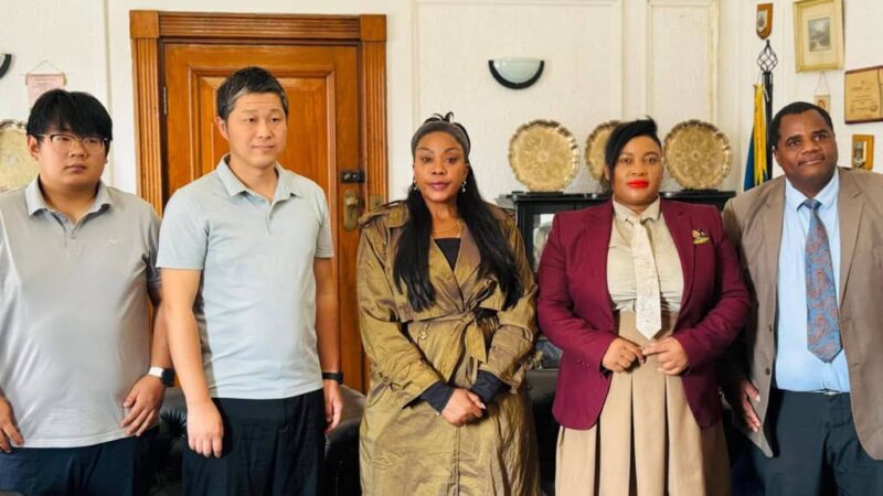 Chinese Rail Giant Eyes US$3 Billion Harare Light Rail Project