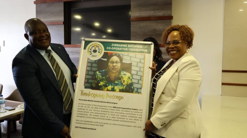 Cooperatives Positioned to Drive Jobs and Industrialisation