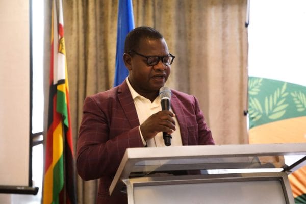 Manicaland races to secure 75,000-tonne wheat harvest