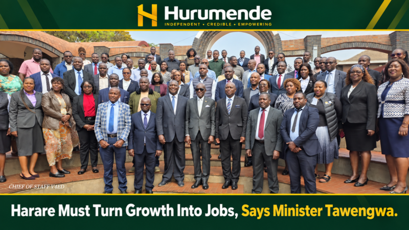 Harare Must Turn Growth Into Jobs, Says Minister Tawengwa