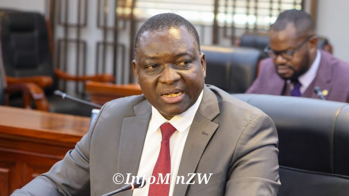 Zimbabwe Steps Up Human Trafficking Fight