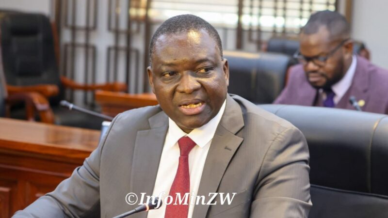 Zimbabwe Steps Up Human Trafficking Fight