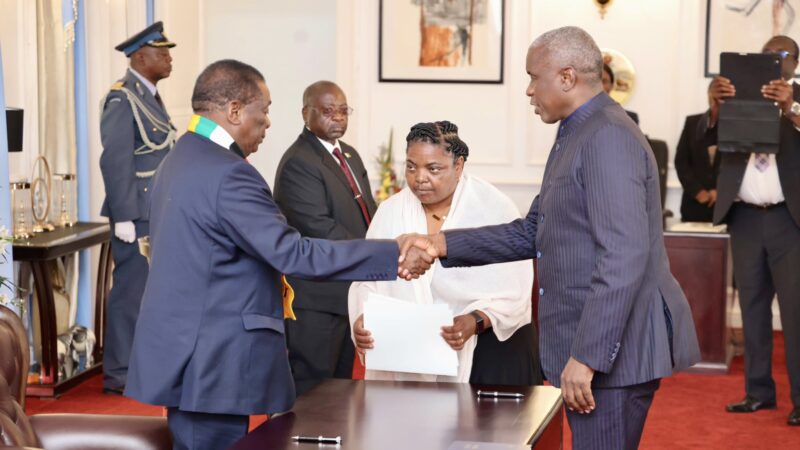 Tagwirei Officially Becomes Economic Development Minister